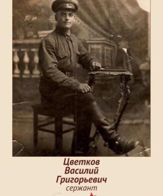 Цветков Василий Георгиевич