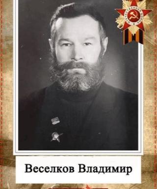 Веселков Владимир Ефимович