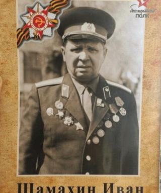 Шамахин Иван Васильевич