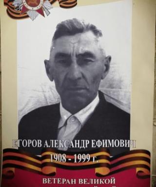 Егоров Александр Ефимович