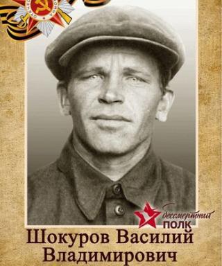 Шокуров Василий Владимирович