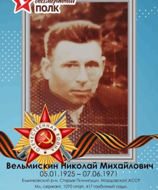 Вельмискин Николай Михайлович
