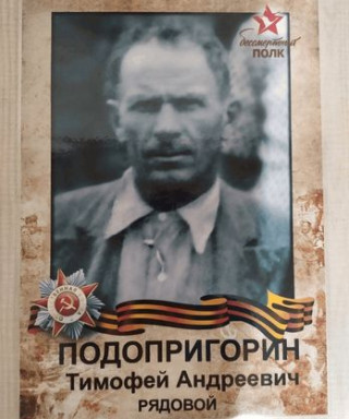 Подопригорин Тимофей Андреевич