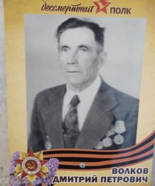 Волков Дмитрий Петрович