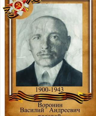 Воронин Василий Андреевич