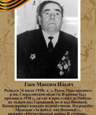 Гаев Максим Ильич