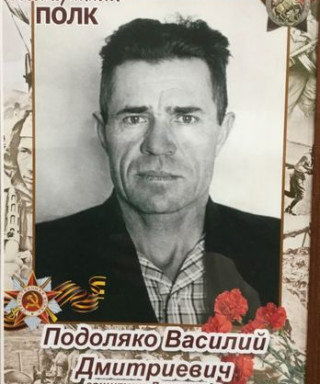 Подоляко Василий Дмитриевич