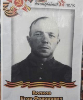 Волков Егор Фёдорович