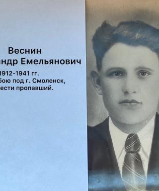 Веснин Александр Емельянович