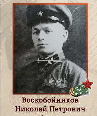 Воскобойников Николай Петрович