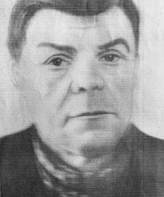 Шевляков Никита Устинович