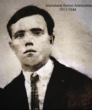 Шаламов Антон Алексеевич