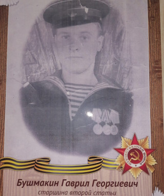 Бушмакин Гаврил Георгиевич