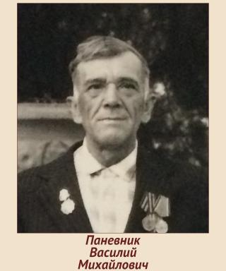 Паневник Василий Михайлович