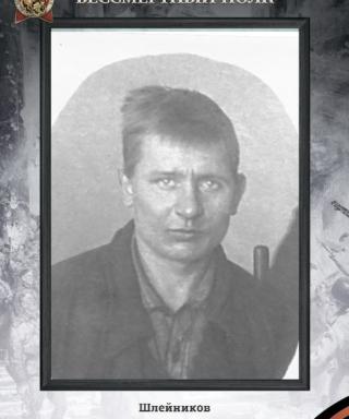 Шлейников Александр Николаевич