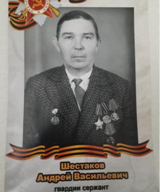 Шестаков Андрей Васильевич