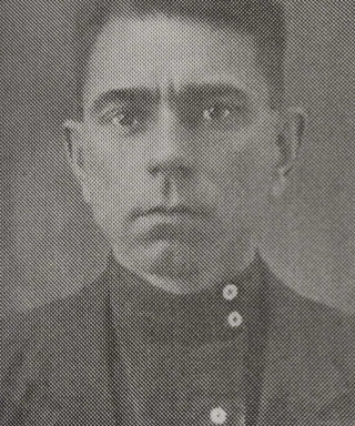 Меркушев Николай Иванович