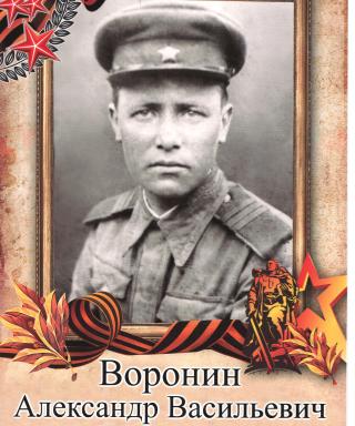 Воронин Александр Васильевич