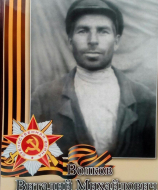 Волков Виталий Михайлович