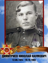 Димитриев Николай Наумович