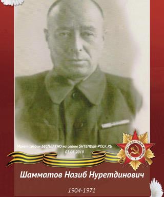 Шамматов Назиб Нуретдинович