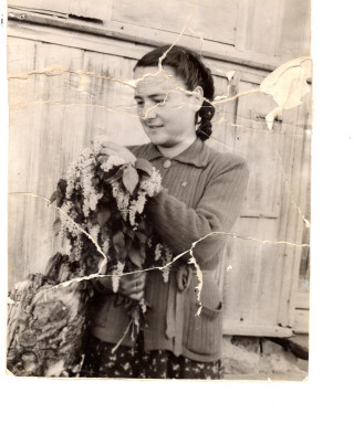 Хабибуллина Нафиса Гумеровна