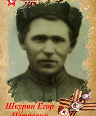 Шкурин Егор Петрович