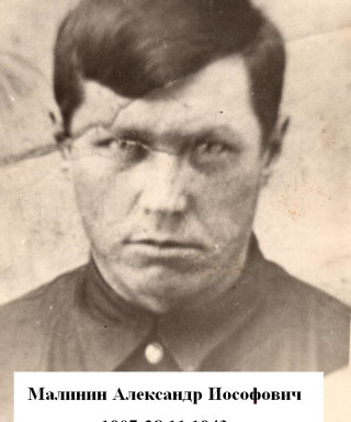 Малинин Александр Иософович