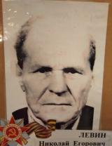 Левин Николай Егорович