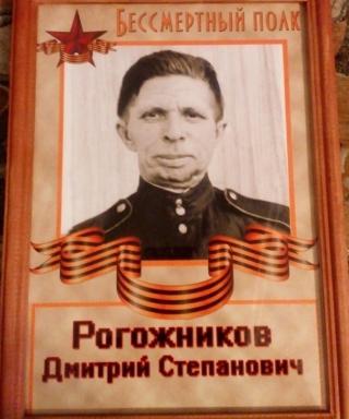 Рогожников Дмитрий Степанович