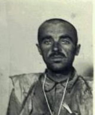 Трохан Дмитрий Андреевич