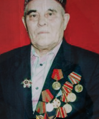 Шарафутдинов Анас Ахматлатыпович