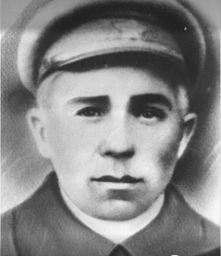 Напалков п н